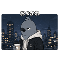 842844384