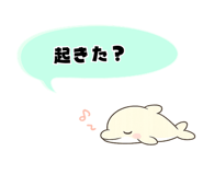 842844404