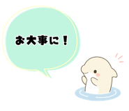842844407
