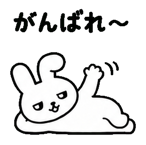 842844808
