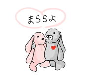 842845204