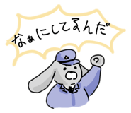 842845206