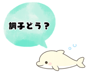842845391