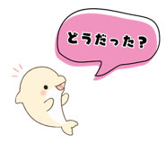 842845395