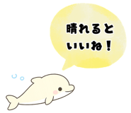842845397