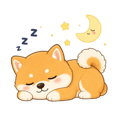 842845590