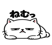 842845822