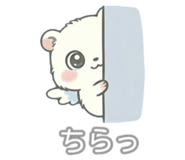 842845981