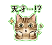 842846045