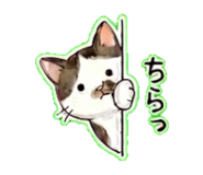 842846048