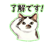 842846054