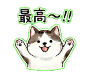 842846062