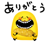 842846581