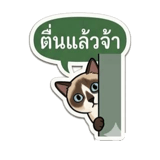 842847146
