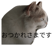 842850197
