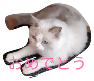 842850198