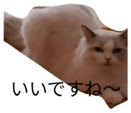 842850199