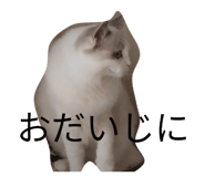 842850200