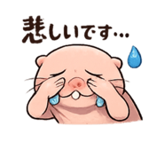 842850355