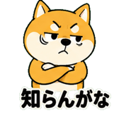842850675