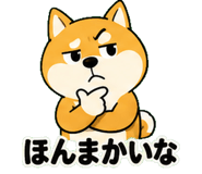 842850677