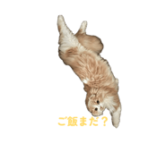 842850698