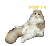842850699