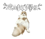 842850703