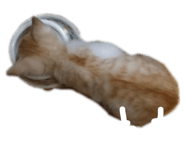 842851143