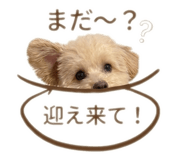 842851380