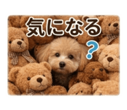 842851405