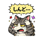 842851683