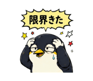 842851684
