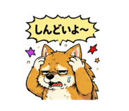 842851690