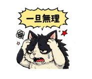 842851697