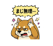842851699