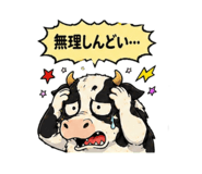 842851706