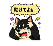 842851707