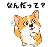 842851853