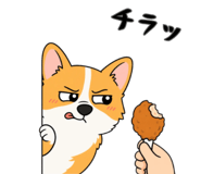 842851857