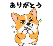 842851859