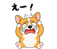 842851861