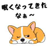 842851862