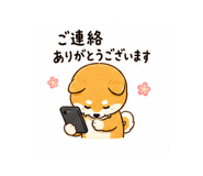 842852494