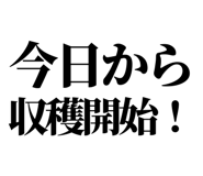 842852777