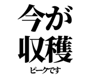 842852778