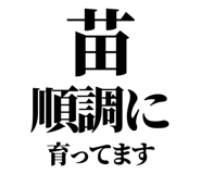 842852782