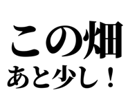 842852784