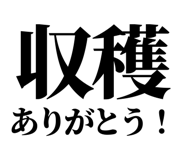 842852815