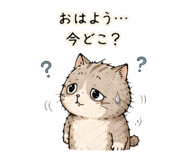 842853343